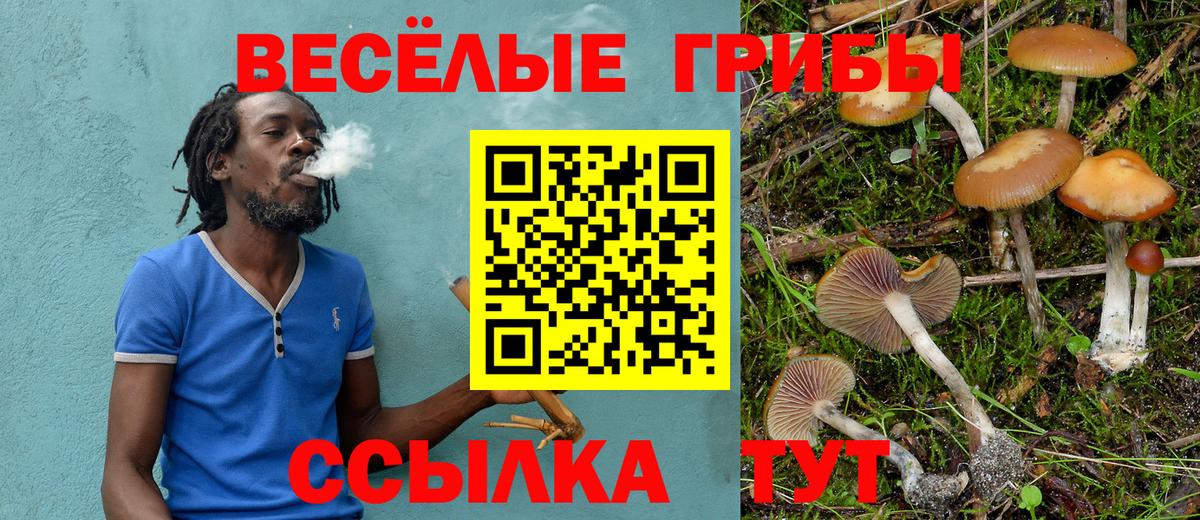 Псилоцибиновые грибы прущие грибы Зеленодольск